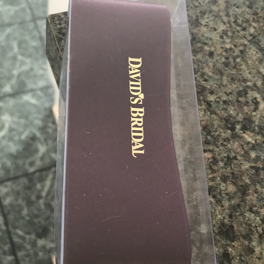 David’s Bridal Eggplant Sash